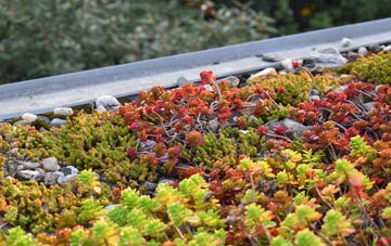 the cost of Latchley green roof installation