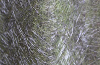 Latchley fibreglass roof work